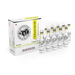 Stanozolol injection (Winstrol depot) 10 ampoules (100mg/ml) by Magnum Pharmaceuticals