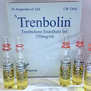 Trenbolone enanthate 10 ampoules (250mg/ml) by Alpha Pharma